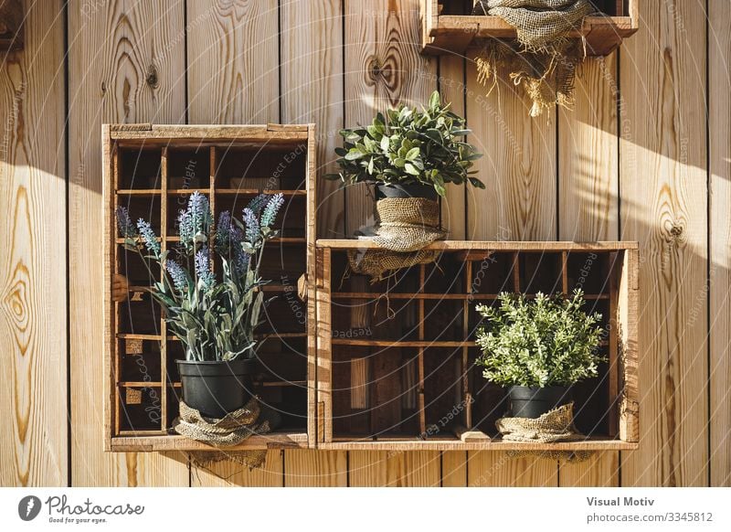 Wooden boxes with aromatic plants Nature Plant Leaf Box Natural Green Tradition exterior Aromatic Lavender Wooden wall Rosemary Oregano Marjoram Mint Sage City