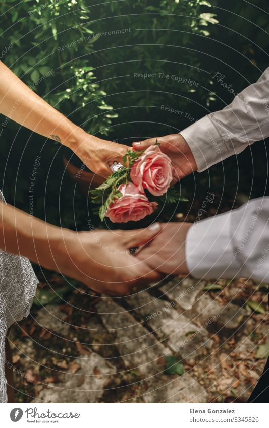 Newlyweds with their hands clasped. Selective focus on bouquet Wedding Woman Adults Hand Fingers Rose Bouquet Love Together Pink Emotions Trust Romance