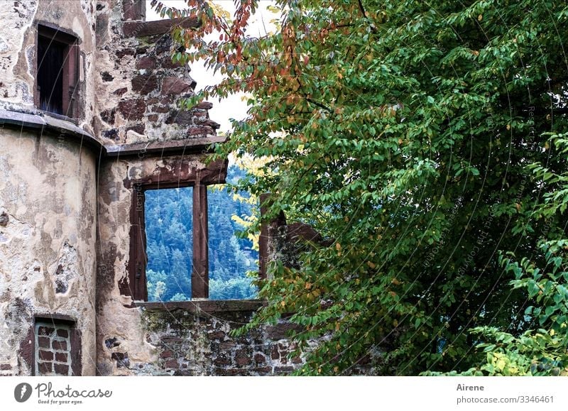 nothing behind Ruin Blue Green Violet Window Cold Mock-up Broken Overgrown Historic Monastery Tower Destruction Decline Sadness Gloomy Past Transience
