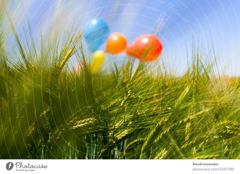 Summer in the country Happy Harmonious Senses Playing Trip Agriculture Forestry Nature Landscape Cloudless sky Beautiful weather Agricultural crop Field Balloon