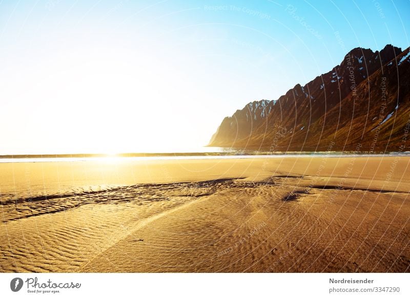 Sunrise on the beach of Senja Vacation & Travel Adventure Far-off places Freedom Nature Landscape Elements Sand Water Cloudless sky Sunset Sunlight Summer