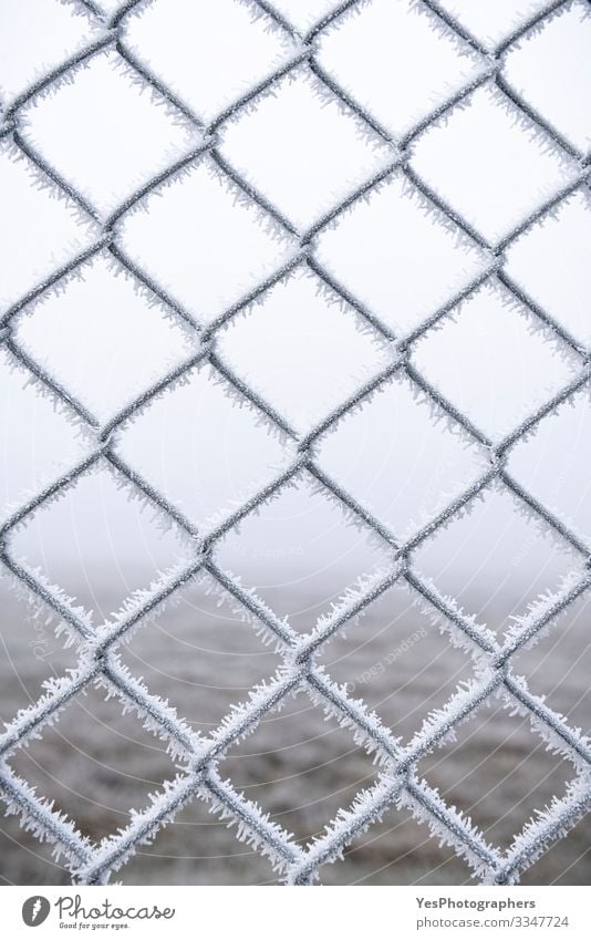 Frozen metal fence. Wire fence covered with snow Winter Snow Bad weather Fog Ice Frost Metal Steel Freeze Cold White Protection Safety (feeling of) background