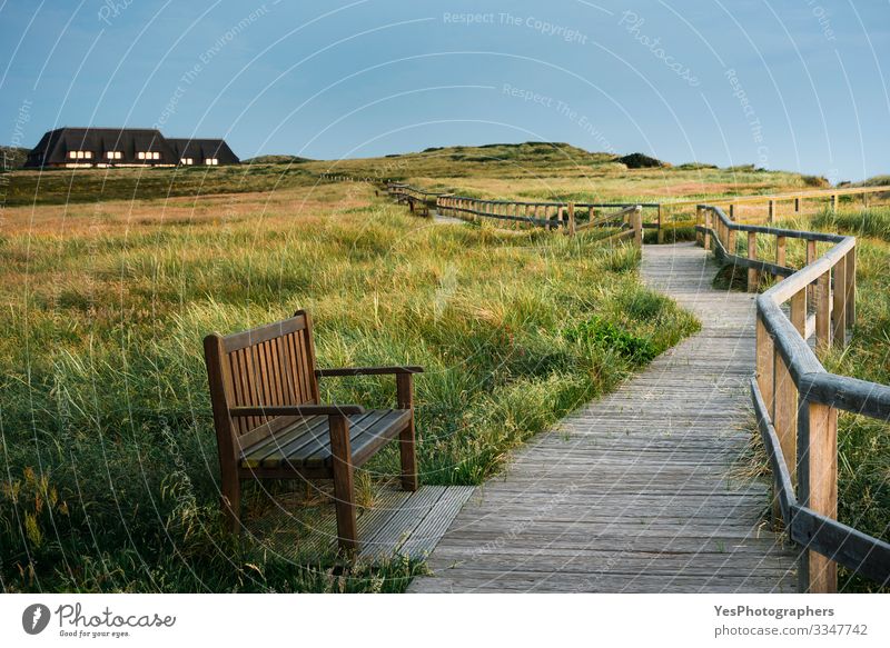 Wooden pathway through high grass on Sylt island in the evening Relaxation Summer Nature Landscape Park Meadow Beautiful Frisia island Germany