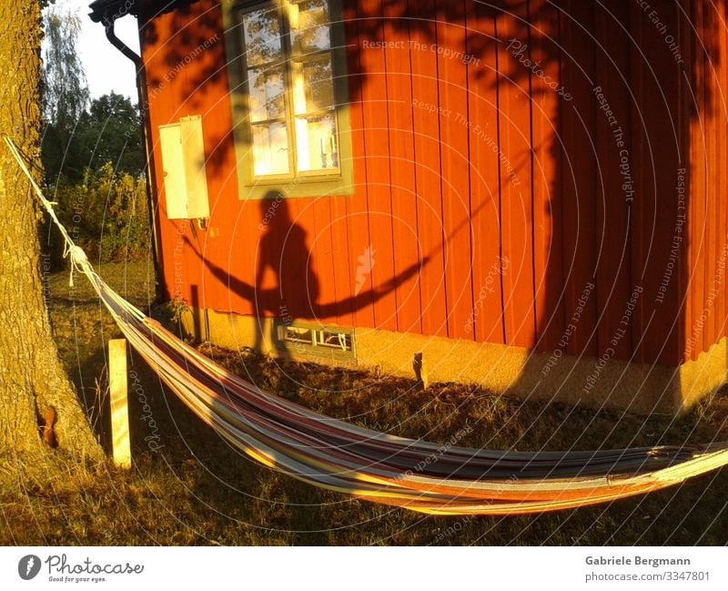 an empty hammock Relaxation Calm Summer Summer vacation Loneliness Hammock Colour photo Exterior shot Deserted Day Light Shadow Silhouette