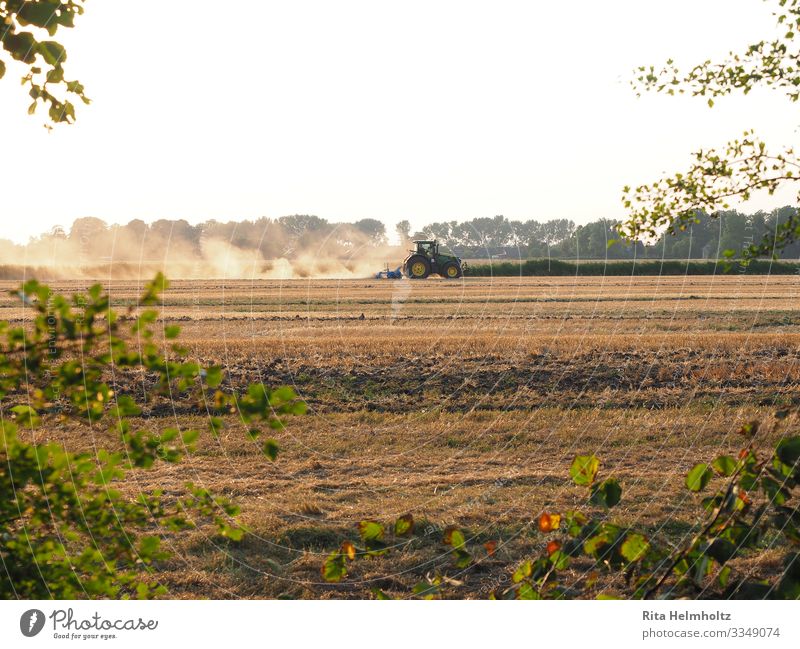 Farmers at work Agriculture Forestry Machinery Tractor Landscape Earth Cloudless sky Summer Drought Field march Work and employment Driving Natural Strong Brown
