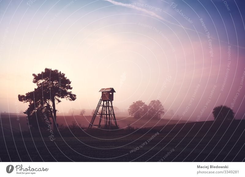 Rural landscape with silhouette of a hunting tower Hunting Nature Landscape Sky Spring Summer Autumn Fog Tree Meadow Field Dark Inspiration Far-off places