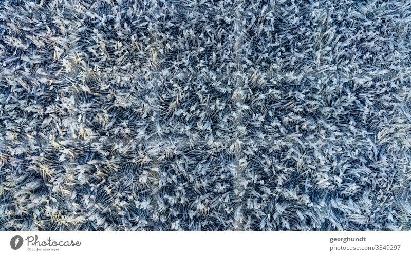 Ice flake 2 Ice flakes Snow Crystal Ice crystal macro Close-up Carpet Flockati icily Cold chill