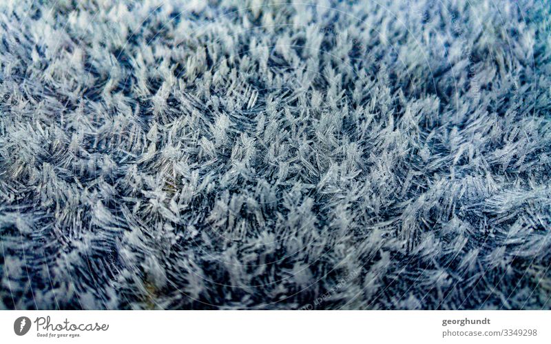 Ice flake 1 Ice flakes Snow Crystal Ice crystal macro Close-up Carpet Flockati icily Cold chill
