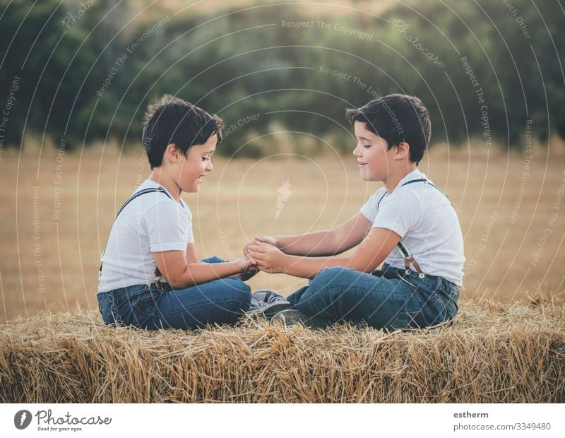 Brothers playing in the wheat field Lifestyle Joy Playing Summer Human being Masculine Child Brothers and sisters Family & Relations Friendship Infancy 2