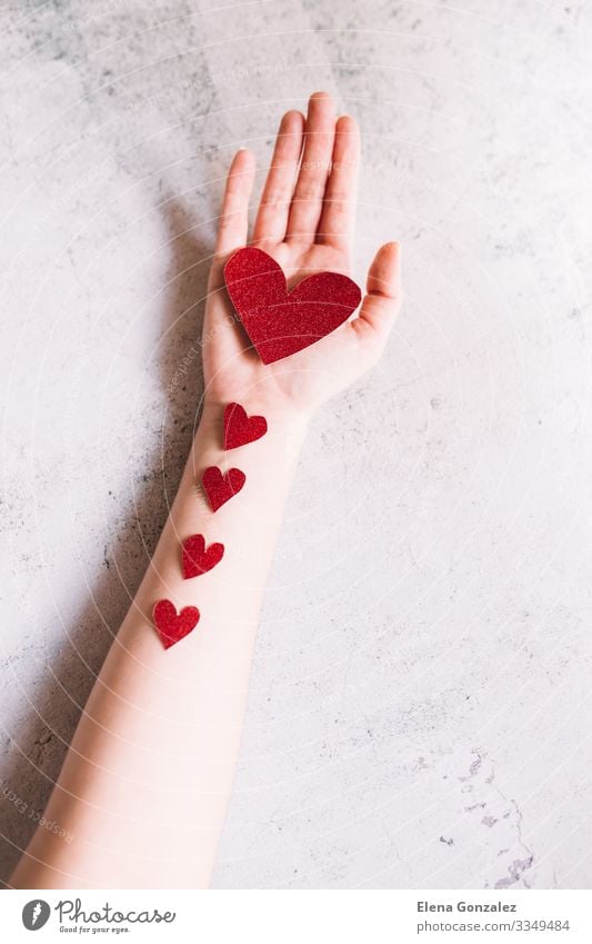 Red heart on the hand and small hearts Feasts & Celebrations Valentine's Day Office work Human being Woman Adults Youth (Young adults) Hand Heart Love Carrying