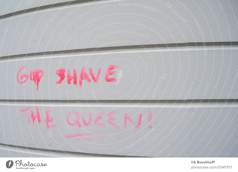 Good shave the Queen Graffiti Punk Wall (barrier) Wall (building) Concrete Sign Characters Communicate Brash Pink Cool (slang) Aggravation Frustration Protest