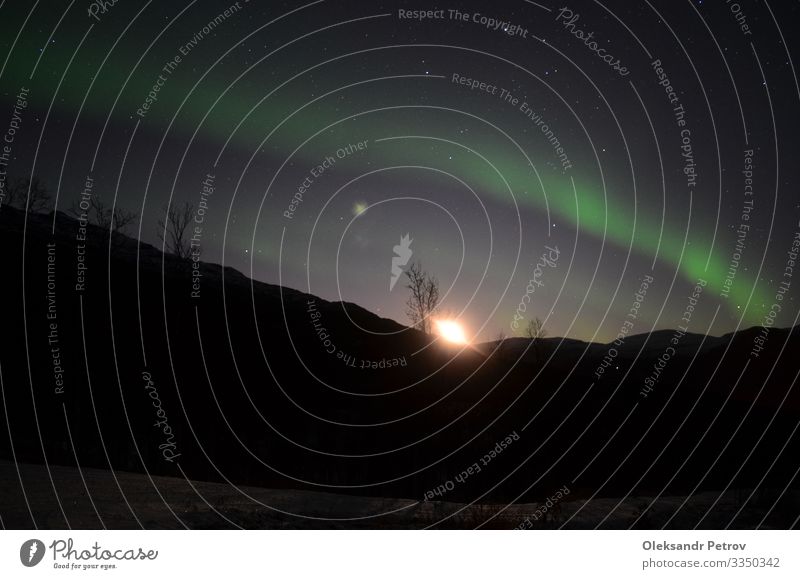 Aurora borealis pierce the night sky Beautiful Vacation & Travel Snow Nature Landscape Natural Norway Astronomy light North northern Night