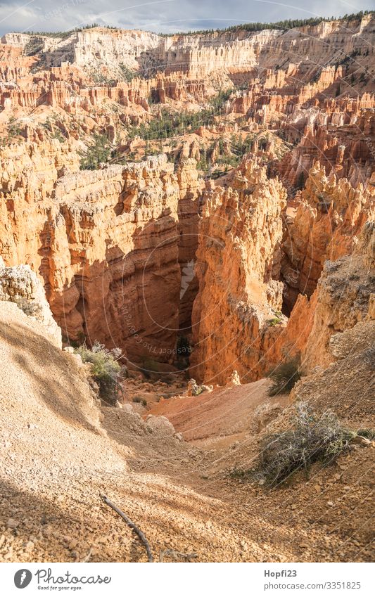 Bryce Canyon Environment Nature Landscape Plant Animal Elements Spring Summer Beautiful weather Rock Mountain Observe Movement Discover Vacation & Travel Hiking