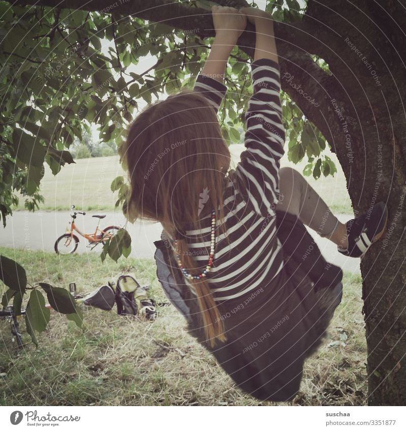 climbed a tree, ate cherries. Child Girl Tree Cherry tree Climbing tree-climb Tree trunk Branch Leaf Braids To hold on Bicycle Summer Exterior shot Infancy