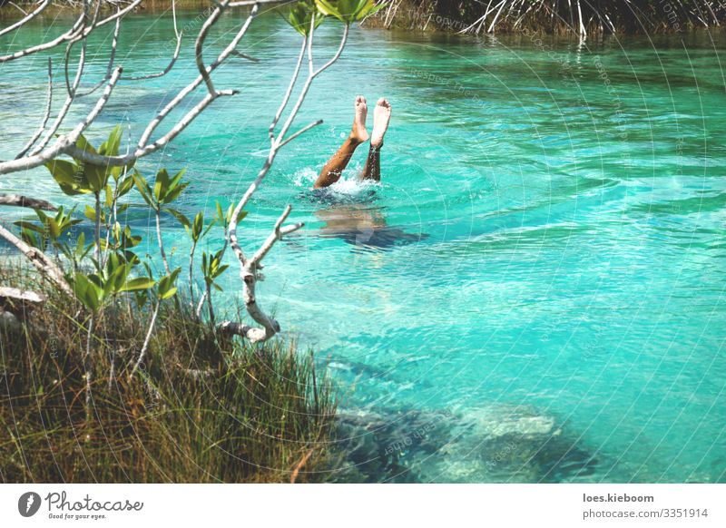Diving into turquoise in Bacalar, Mexico Relaxation Vacation & Travel Tourism Adventure Far-off places Summer Beach Sports Swimming & Bathing Nature Sun Bushes