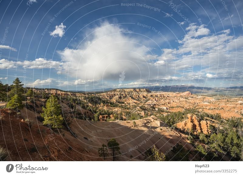 Bryce Canyon Environment Nature Landscape Plant Animal Elements Sky Clouds Sun Spring Summer Beautiful weather Tree Rock Mountain Peak Observe Fitness To enjoy