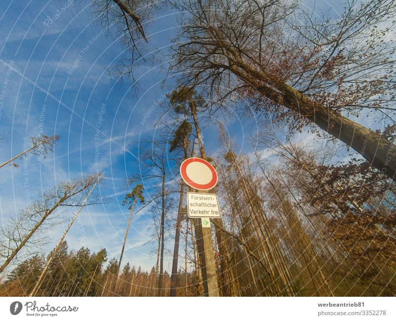 German ONLY FORESTRY TRAFFIC sign in front of trees Nature Plant Sky Tree Street Testing & Control german Language forestry industry Communication Warning sign
