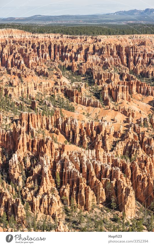 Bryce Canyon Environment Nature Landscape Plant Animal Sky Clouds Spring Summer Rock Mountain Peak Discover Relaxation Fitness Vacation & Travel Looking Hiking