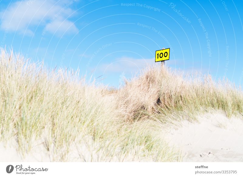 100 Nature Landscape Sky Summer Beautiful weather Relaxation Beach dune Marram grass Ocean Signs and labeling Colour photo Exterior shot Deserted