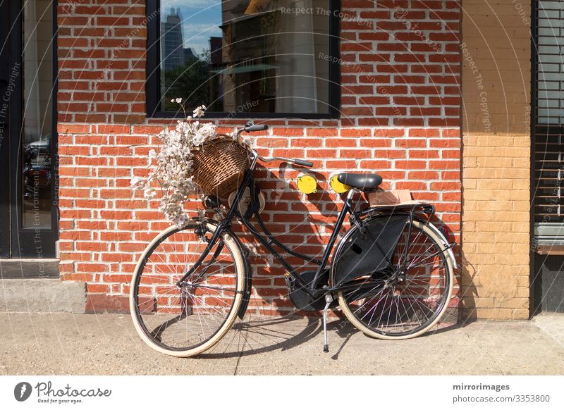 Bike with floral backet parked against brink wall of street shop Shopping Style Design Beautiful Healthy Fitness Wellness Relaxation Fragrance