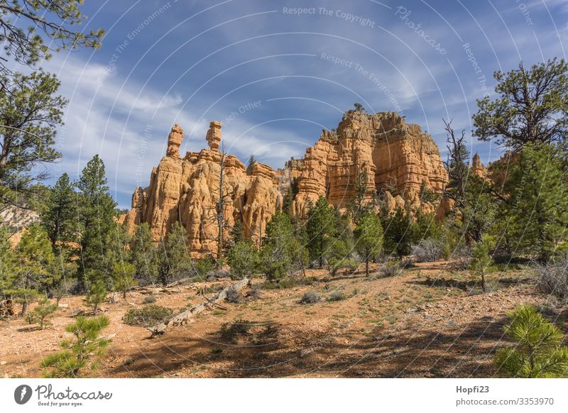 salt and pepper shaker Bryce Canyon Environment Nature Landscape Plant Animal Sky Clouds Sun Spring Beautiful weather Tree Rock Mountain Peak Movement Fitness