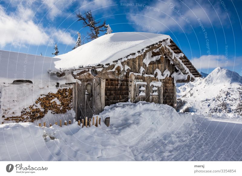 Snowy mountain hut in the mountains Winter Beautiful weather Ice Frost Hut Exceptional Cold Blue Alpine hut Unwavering Idyll Cliche Colour photo Multicoloured