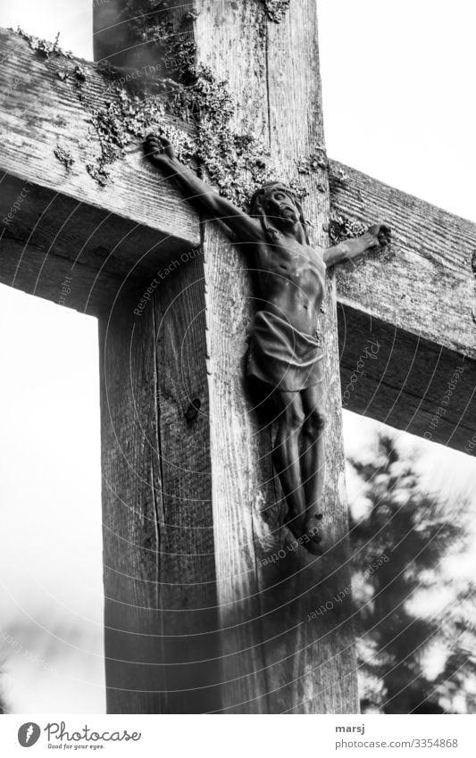 Jesus Crucified Looking away Shallow depth of field Close-up Exterior shot inri Jesus Christ Christian cross Christianity Religion and faith death from sin