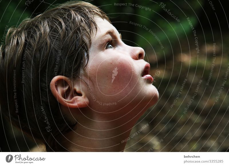 when only amazement remains portrait inquisitive Interest inquisitorial Curiosity observantly Face Marvel Boy (child) Child Discover Research Colour photo
