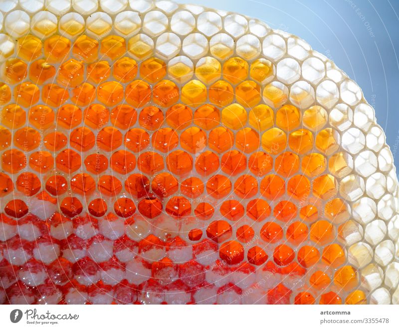 Fresh honey in honeycombs abstract agriculture appetizing background backlight bee bright close-up closeup color colorful concept delicious design food frame