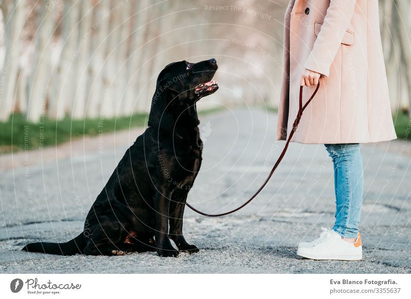 unrecognizable young owner woman and her black labrador dog sitting at sunset outdoors Labrador Black retriever Woman Dog Street Sit Pet Youth (Young adults)