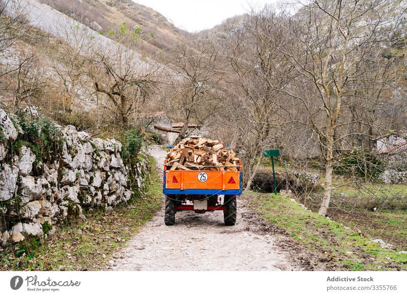 Orange truck with firewood rides to house in mountains road vehicle cargo travel transport lorry nature way tourism journey delivery landscape movement