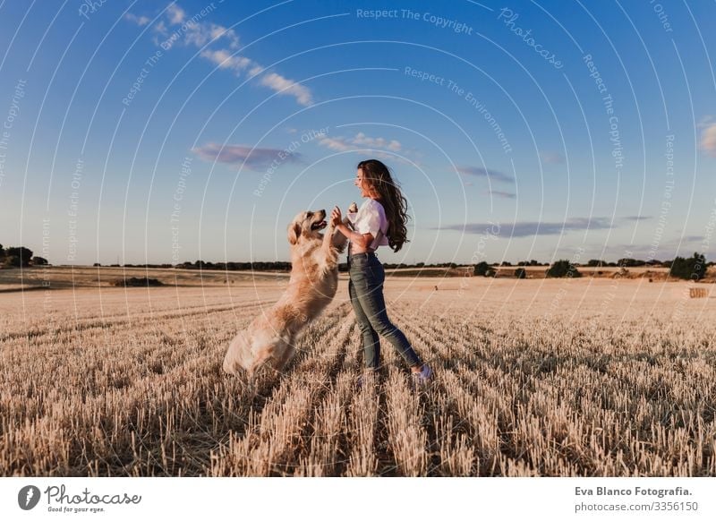 young beautiful woman walking with her golden retriever dog on a yellow field at sunset. Nature and lifestyle outdoors Summer Beautiful Fashion