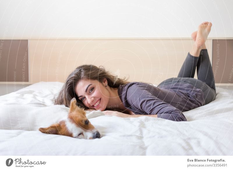 beautiful young woman lying on bed with her cute small dog besides. Home, indoors and lifestyle Cozy Small Fatigue Dream mood cuddle Friendship Comfortable Bed