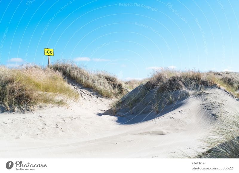 100 again Nature Landscape Cloudless sky Beautiful weather Maritime Dune Beach dune Marram grass Signs and labeling Beach vacation Oregon Colour photo