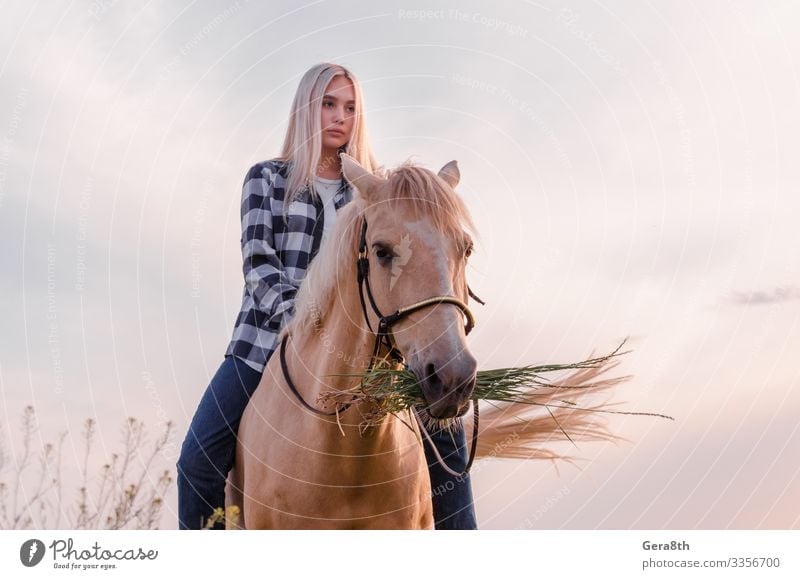 young blonde girl sits on a horse at the ranch Style Face Summer Woman Adults Friendship Nature Animal Sky Village Clothing Shirt Jeans Blonde Horse Sit Natural