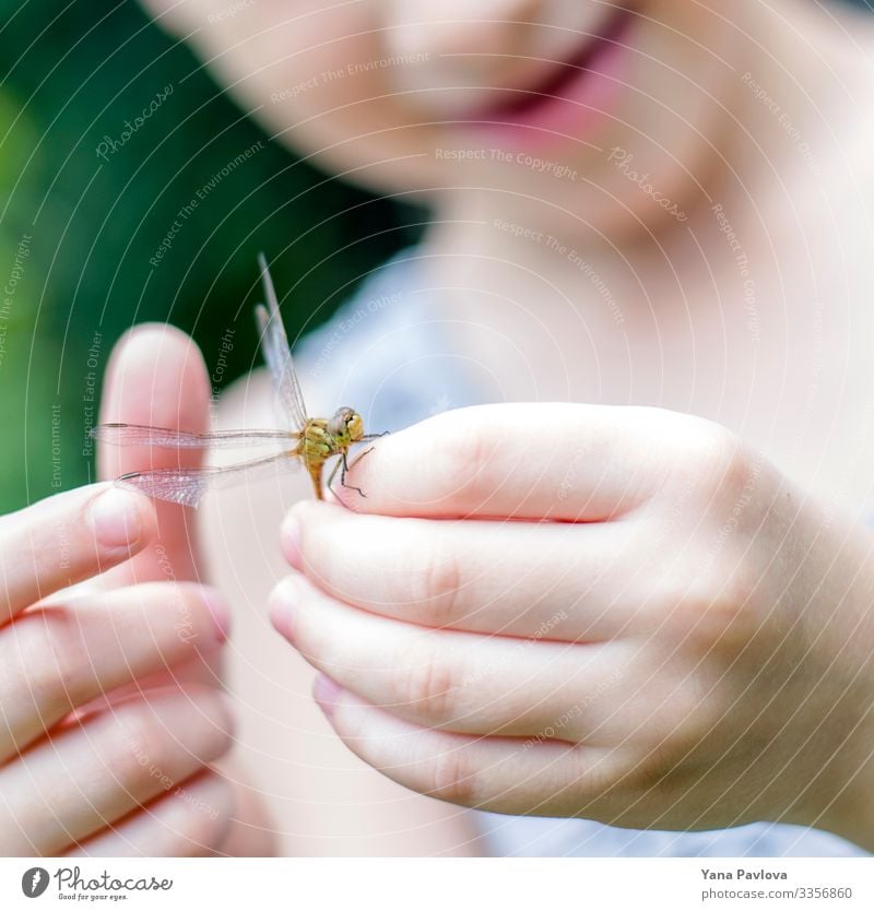 The boy holds a dragonfly in his hands Animal Fly Wing 1 Emotions Joy Happy Happiness Contentment Adventure Experience Success Peace Colour photo