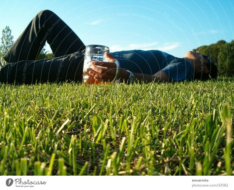 hangover Park Meadow Green Man Masculine Beer Drinking Alcohol-fueled Beer mug Sleep Lawn Garden Scale Lie Relaxation