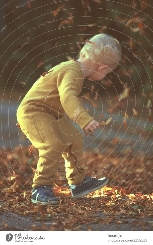 Joy of Autumn Parenting Education Kindergarten Child Study Human being Toddler Boy (child) Life 1 1 - 3 years 3 - 8 years Infancy Environment Nature Leaf Garden