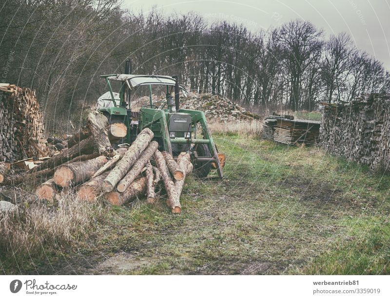 Old German tractor at the lumberyard in nature Nature Landscape Plant Sky Tree Grass Forest Transport Tractor german Lumberyard Firewood Wood wood - material