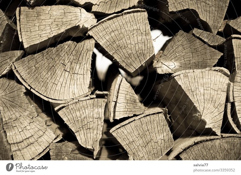 Firewood stacks Close-up Structures and shapes Wood Fossil fuel Exterior shot Stack of wood Deserted Energy Supply Detail Nature Brown Pattern Forestry Tree