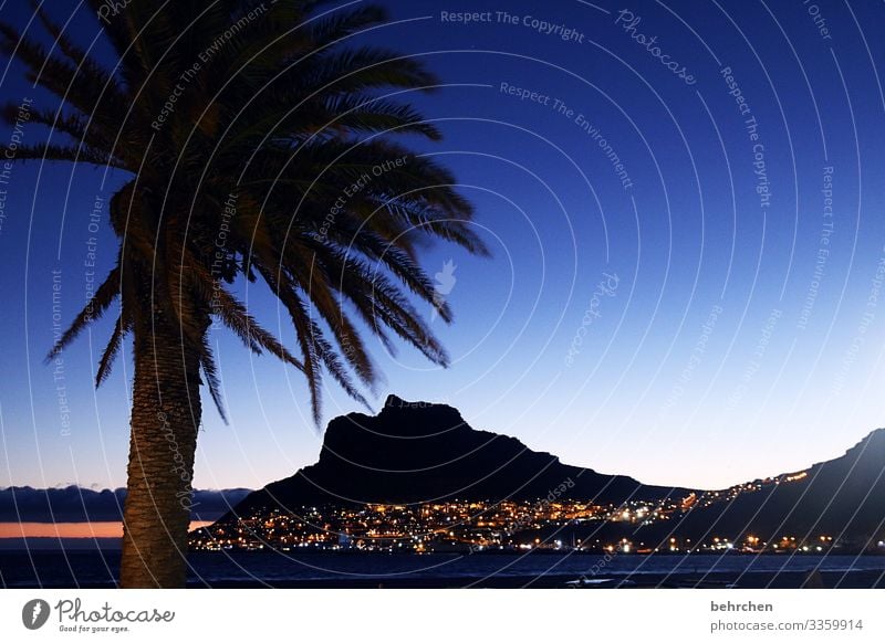 when night falls in paradise Sun Optimism Hope Gorgeous beautifully Hout Bay Twilight Sunset Contrast Light Exterior shot Colour photo Cape Town Wanderlust