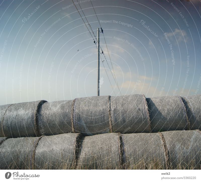 Thick and stupid Environment Landscape Sky Clouds Beautiful weather Bale of straw Electricity pylon Cable High voltage power line Fat Thin Many Colour photo