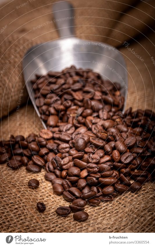 coffee beans Food Nutrition Breakfast Hot drink Coffee Espresso Healthy Eating Packaging Select Utilize To enjoy Coffee bean Shovel toast Jute sack Colour photo