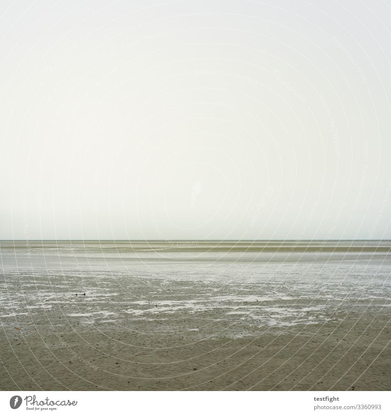 meditation Beach Rain cloudy North Sea watt Mud flats Damp Water Gray Low tide Withdraw Tide Nature Weather Climate Climate change Sky Minimalistic wide Sand