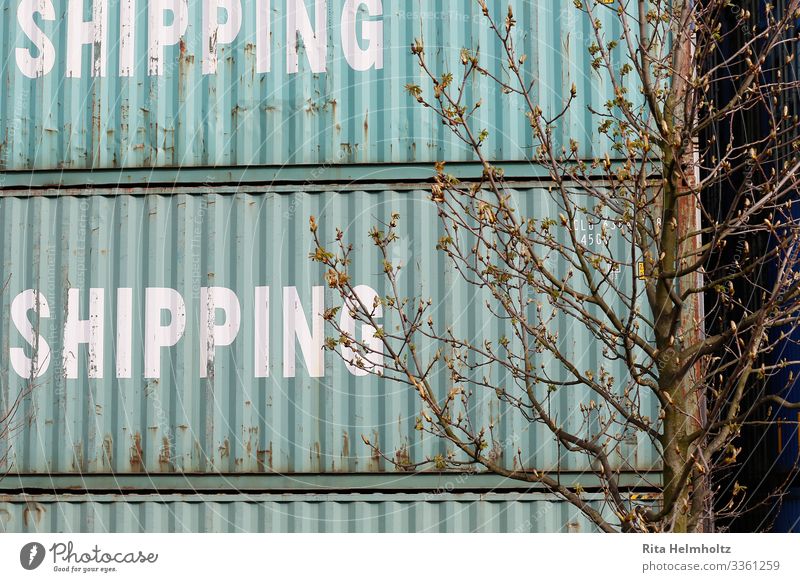 container Logistics Container Sharp-edged Turquoise Business Services Growth Change Colour photo Exterior shot