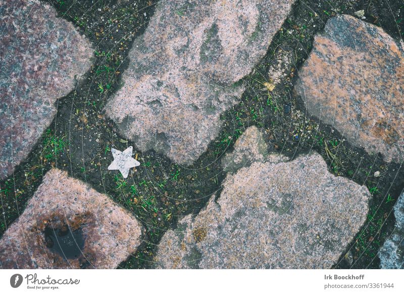lone star of the pavement Happy Town Street Lanes & trails Sign Star (Symbol) Discover Lie Positive Silver Brave Curiosity Beginning Expectation Future Hope
