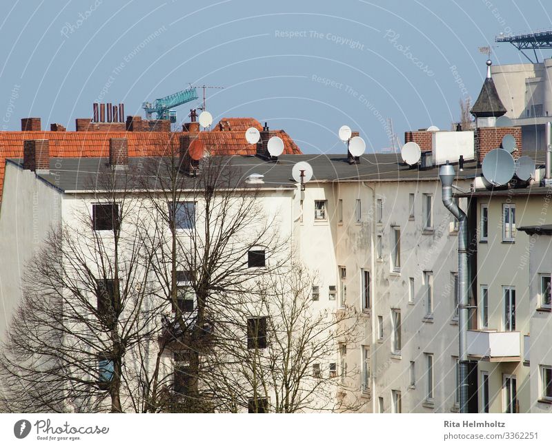 backyard Town Downtown Deserted House (Residential Structure) Building Satellite dish Living or residing Simple Bright Blue Red White Poverty Colour photo