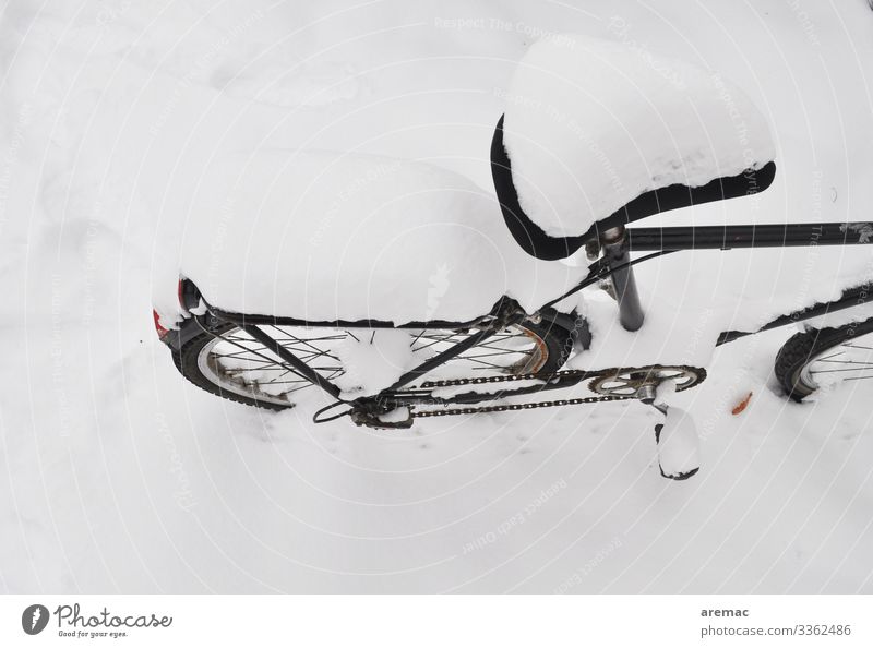 Fahrrad im Schnee Winter Snow Transport Bicycle Freeze Cold Colour photo Black & white photo Exterior shot Deserted Copy Space top Copy Space bottom Day
