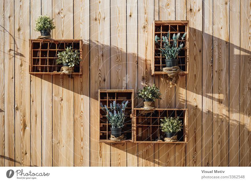 Wooden boxes with aromatic plants Nature Plant Leaf Box Natural Green Tradition Aromatic Lavender Wooden wall Rosemary Oregano Marjoram Mint Sage urban botanic