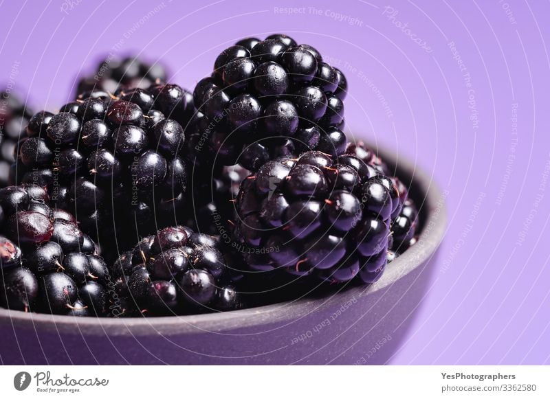 Blackberries close-up image. Ripe blackberry fruits Food Fruit Dessert Organic produce Delicious Natural Berries Blackberry bowl of blackberries colorful